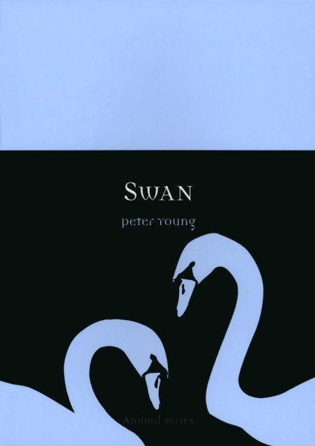 Book Cover for Swan by Young Peter Young