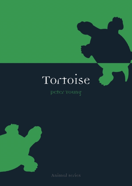 Book Cover for Tortoise by Young Peter Young