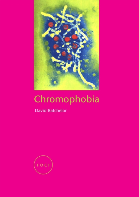 Book Cover for Chromophobia by David Batchelor