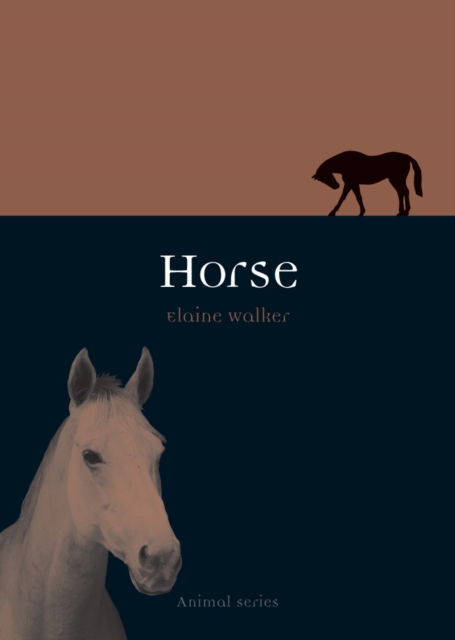 Book Cover for Horse by Elaine Walker