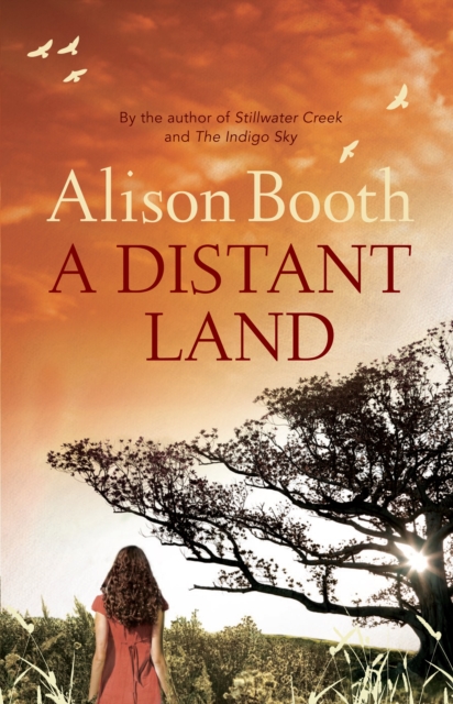 Book Cover for Distant Land by Alison Booth