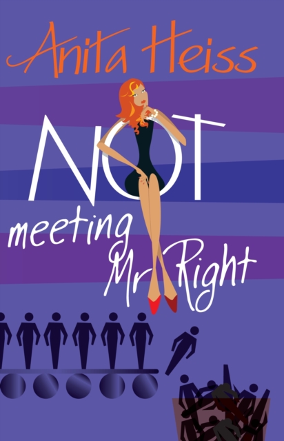 Book Cover for Not Meeting Mr Right by Anita Heiss