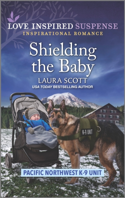 Book Cover for Shielding the Baby by Laura Scott