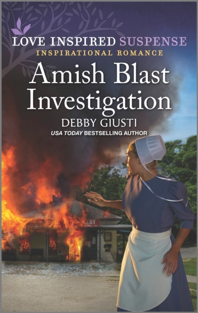 Book Cover for Amish Blast Investigation by Debby Giusti