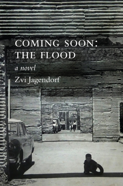 Book Cover for Coming Soon: The Flood by Zvi Jagendorf