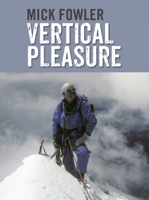 Book Cover for Vertical Pleasure by Fowler, Mick