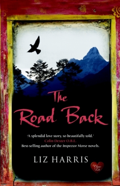 Book Cover for Road Back by Liz Harris
