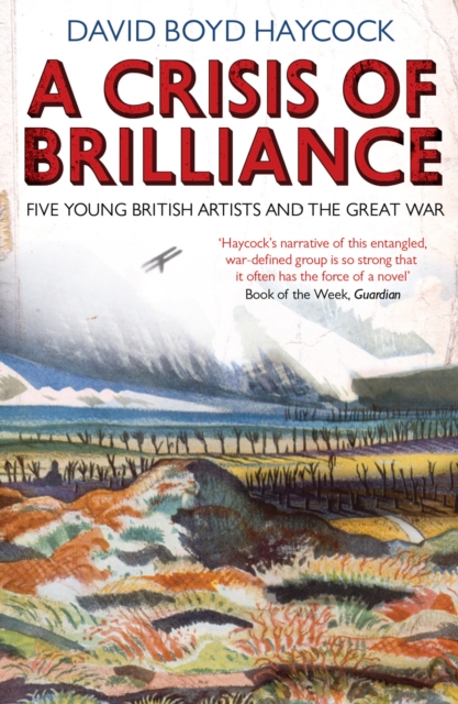 Book Cover for Crisis of Brilliance by David Boyd Haycock