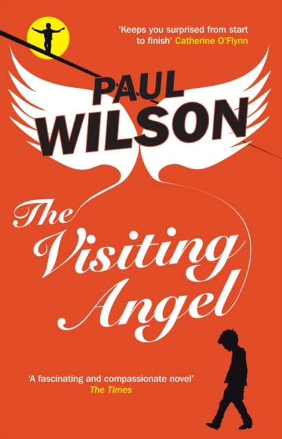 Book Cover for Visiting Angel by Paul Wilson