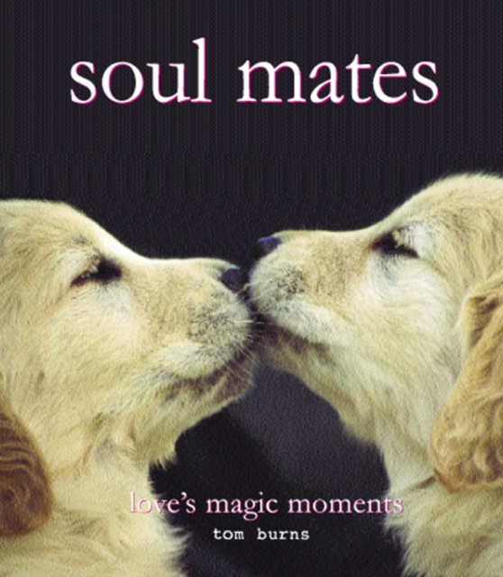 soul Mates