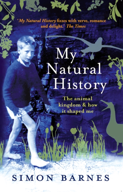 Book Cover for My Natural History by Barnes, Simon