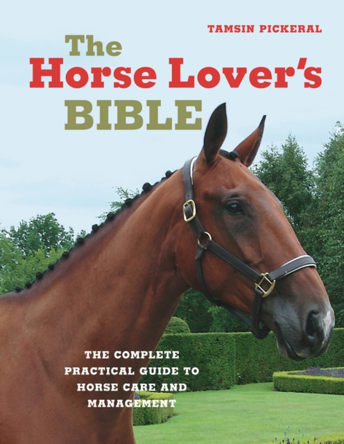 Book Cover for Horse Lover's Bible by Tamsin Pickeral