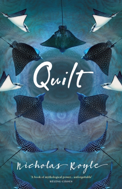 Book Cover for Quilt by Nicholas Royle