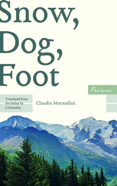 Book Cover for Snow, Dog, Foot by Claudio Morandini