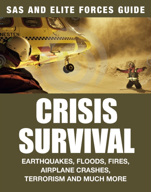 Book Cover for Crisis Survival by Alexander Stilwell