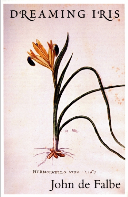 Book Cover for Dreaming Iris by Falbe, John de