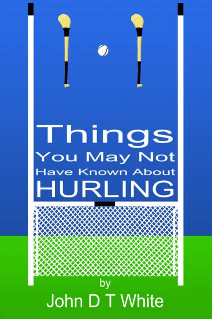 Book Cover for 101 Things You May Not Have Known About Hurling by John DT White