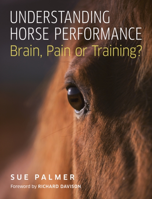 Book Cover for Understanding Horse Performance by Sue Palmer