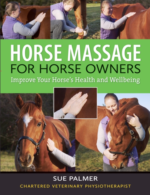 Horse Massage for Horse Owners