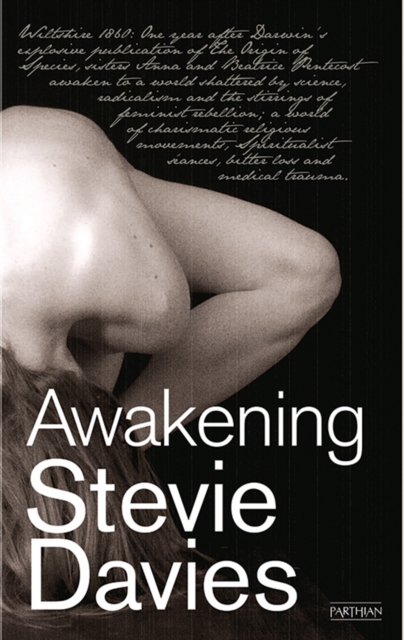 Book Cover for Awakening by Stevie Davies