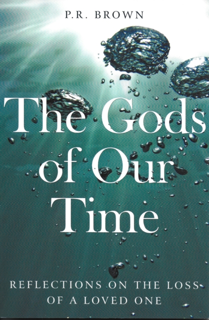 Book Cover for Gods of our Time by P.R. Brown