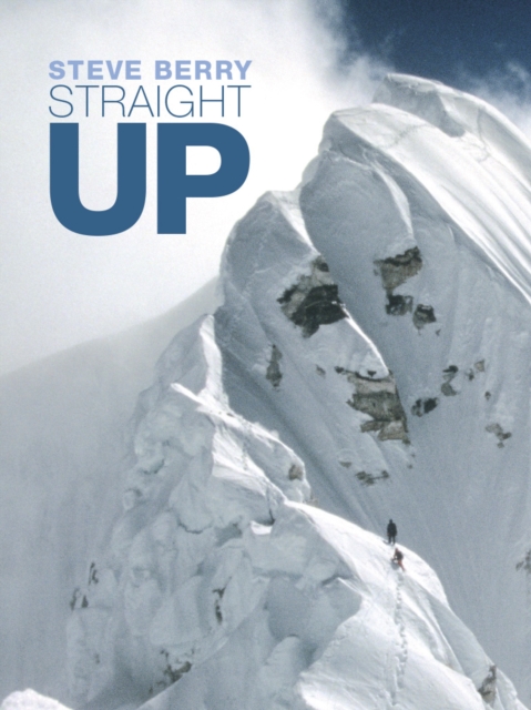 Book Cover for Straight Up by Steve Berry
