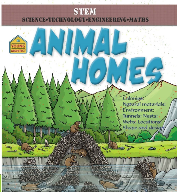 Book Cover for Animal Homes by Taylor, Saranne