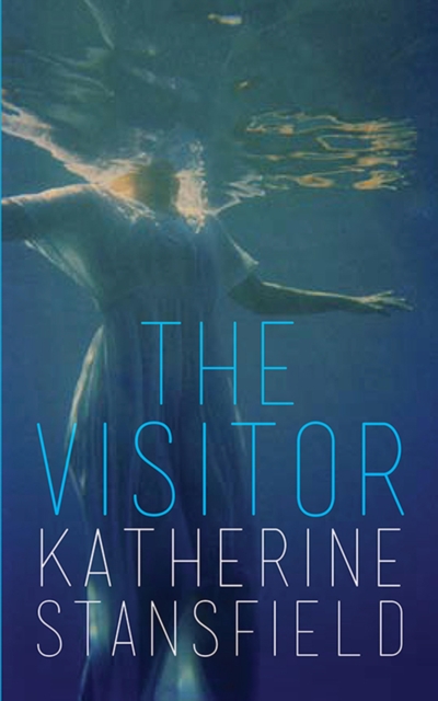 Book Cover for Visitor by Stansfield, Katherine