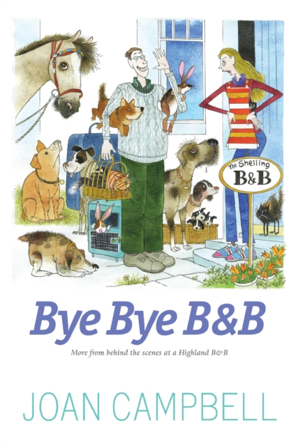 Book Cover for Bye, Bye B&B by Joan Campbell