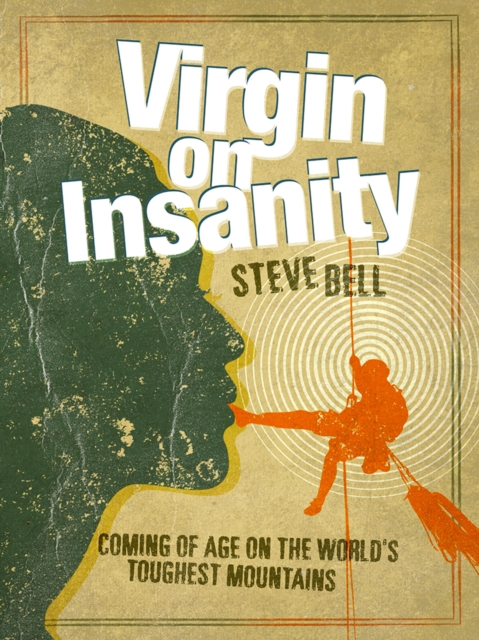 Book Cover for Virgin on Insanity by Steve Bell