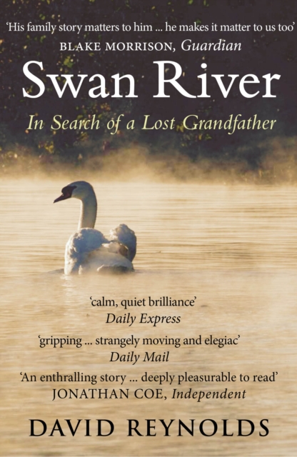 Book Cover for Swan River by Reynolds, David