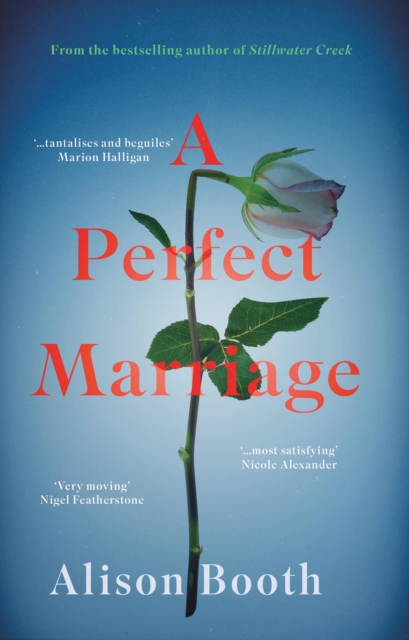 Book Cover for Perfect Marriage by Alison Booth