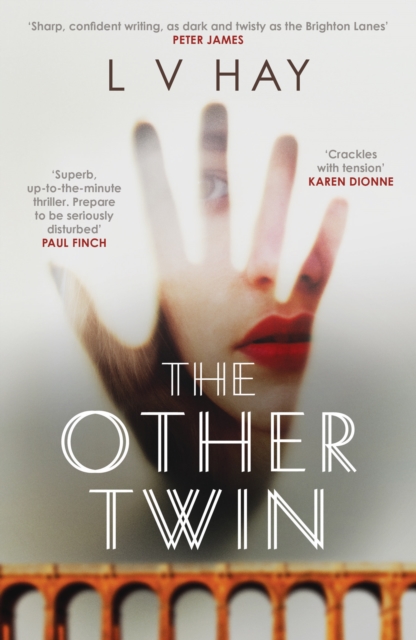 Book Cover for Other Twin by L. V. Hay