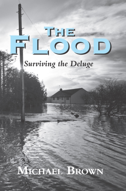 Book Cover for Flood by Michael Brown