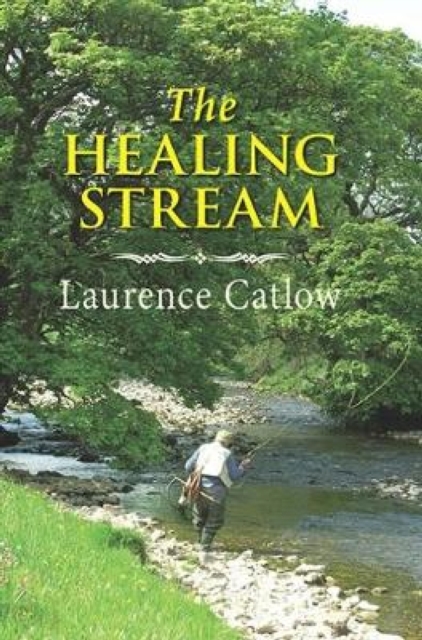 Book Cover for Healing Stream by Catlow, Laurence