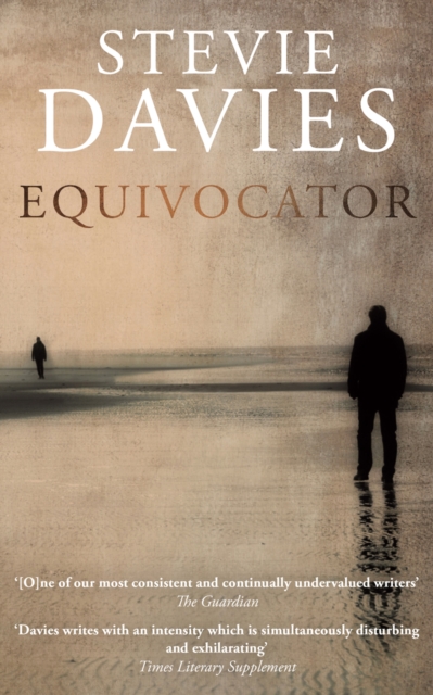 Book Cover for Equivocator by Stevie Davies