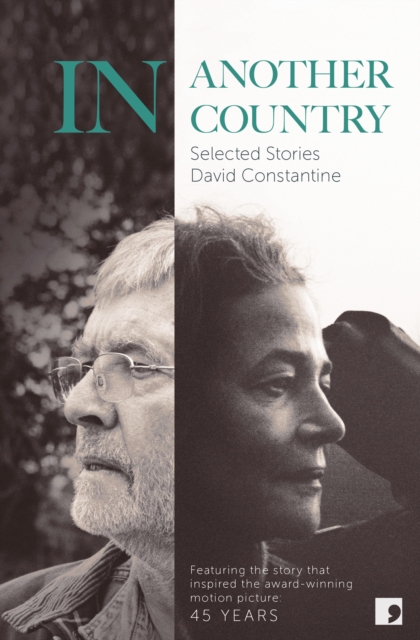 Book Cover for In Another Country by David Constantine