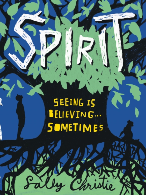 Book Cover for Spirit by Sally Christie