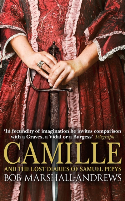 Book Cover for Camille by Bob Marshall-Andrews