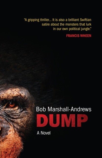 Book Cover for Dump by Bob Marshall-Andrews