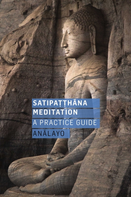 Book Cover for Satipatthana Meditation  (enhanced and non enhanced) by Analayo