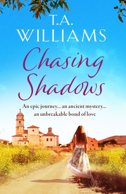 Book Cover for Chasing Shadows by T.A. Williams