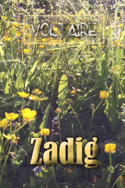 Book Cover for Zadig by Voltaire