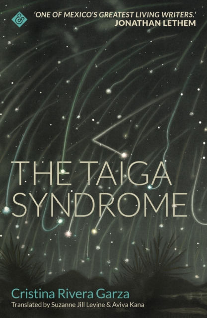 Book Cover for Taiga Syndrome by Cristina Rivera Garza