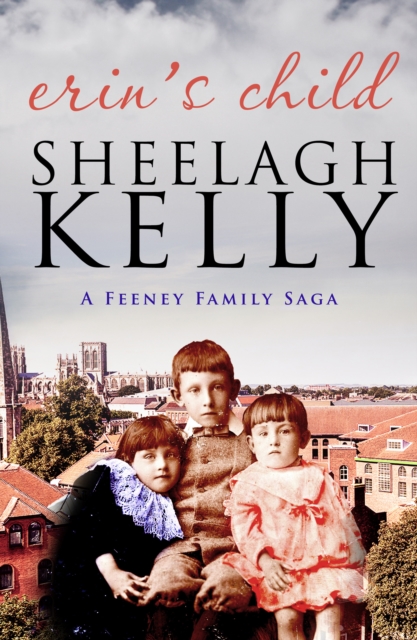 Book Cover for Erin's Child by Sheelagh Kelly