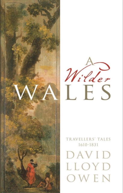 Book Cover for Wilder Wales by David Lloyd Owen