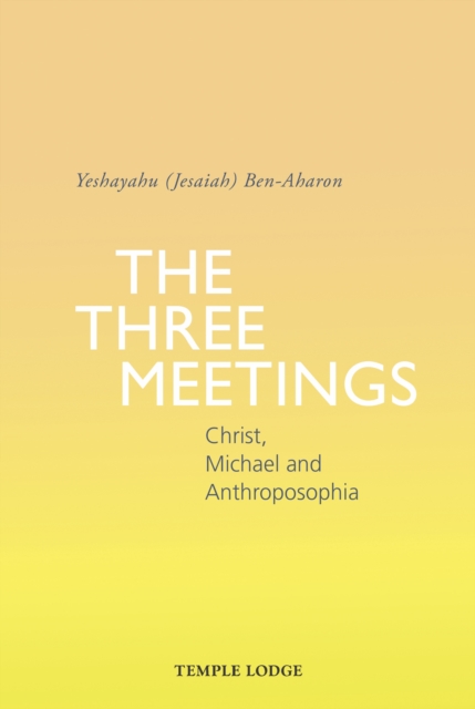 Book Cover for Three Meetings by Ben-Aharon, Yeshayahu (Jesaiah)