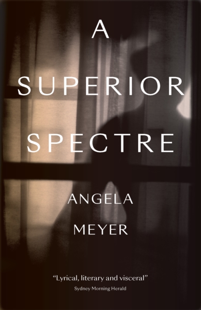 Book Cover for Superior Spectre by Angela Meyer