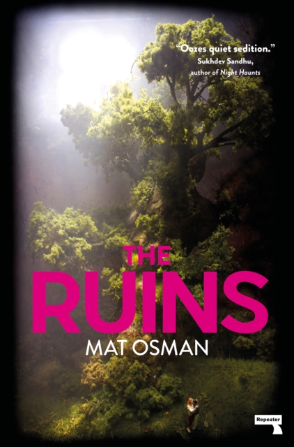 Book Cover for Ruins by Osman, Mat