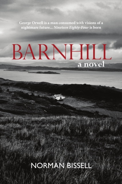 Book Cover for Barnhill by Norman Bissell